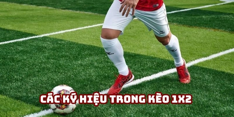 Các ký hiệu thường thấy trong kèo châu Âu