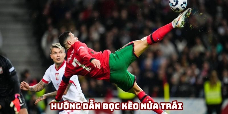Hướng dẫn đọc kèo nửa trái chính xác nhất
