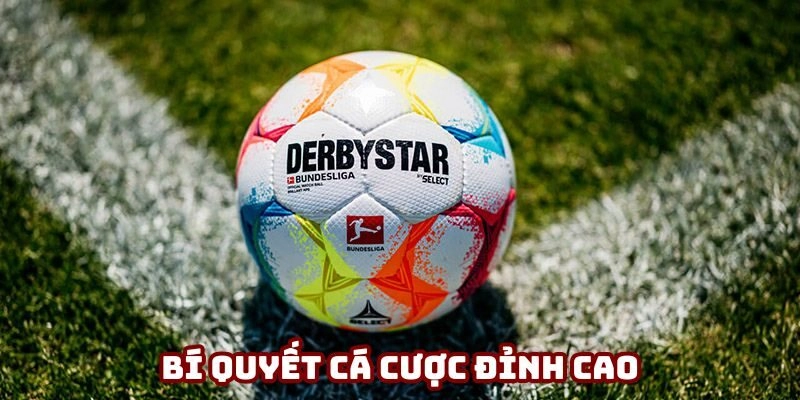 Bí quyết cá cược đỉnh cao từ các tay chơi lão làng