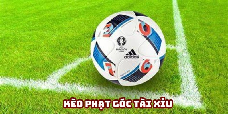 Cược tài xỉu là hình thức hấp dẫn nhất thị trường năm 2025