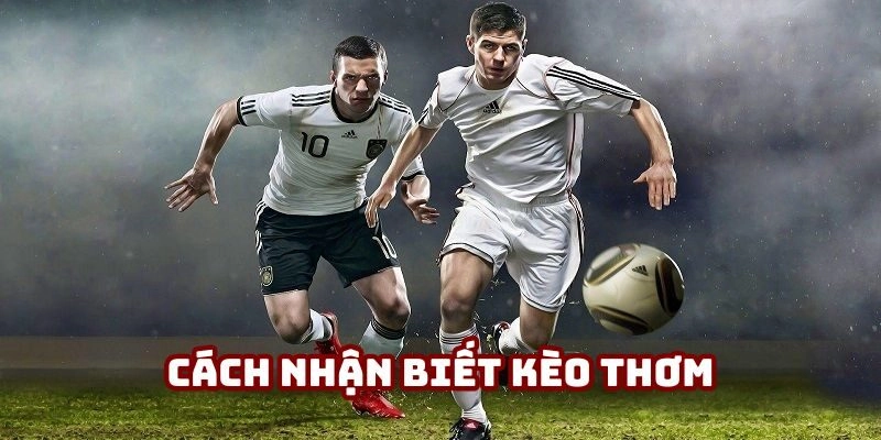 Nhận biết kèo nào thơm dựa trên các hình thức cược khác